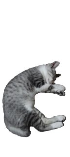 http://nekofont.upat.jp/font/l/99.jpg